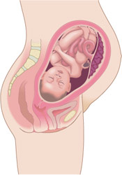 La 39ème semaine de grossesse : 41 semaines d’aménorrhée