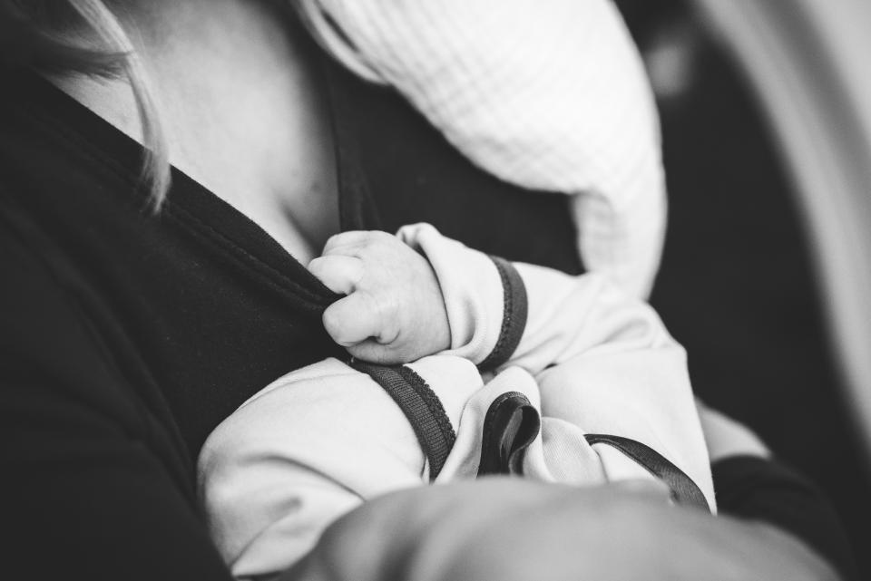 Quand Minipuce rencontre Tipou…