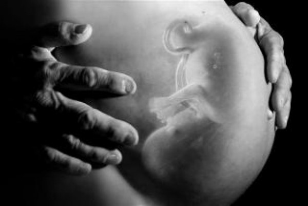 xray-bebe-dans-le-ventre_19-131027