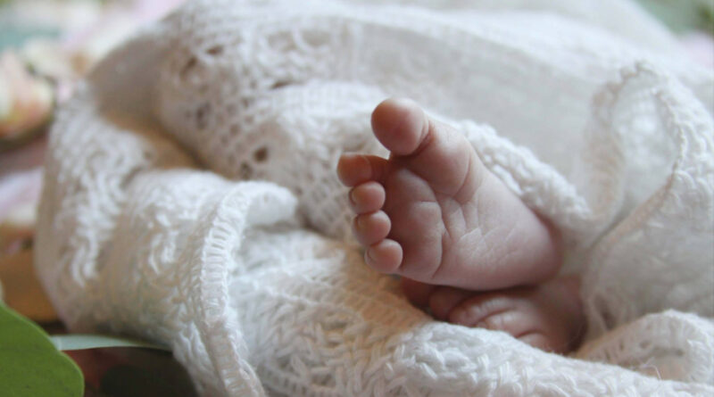 Laëtitia a testé la « Chancelière Evolution » BabyToLove {TEST & AVIS}