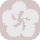 HELLOCOTON-copie-1.jpg