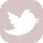 TWITTER-copie-1.jpg