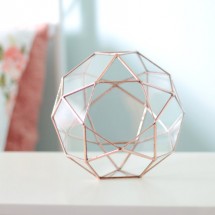 Terrarium en verre géométrique