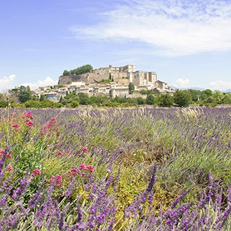 Landscape in South of France