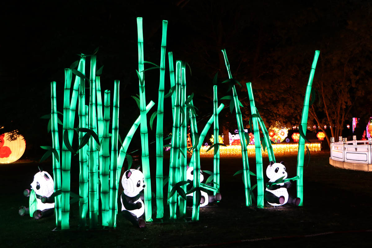 Festival des Lumières Celestes du chateau de Selles-sur-Cher