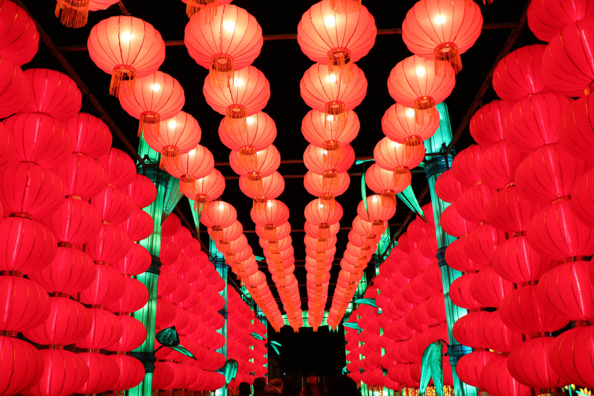 Festival des Lumières Celestes du chateau de Selles-sur-Cher