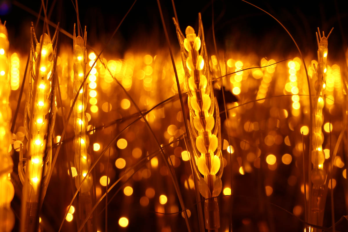 Festival des Lumières Celestes du chateau de Selles-sur-Cher